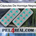 Cápsulas De Hormiga Negra 29